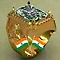 SUNCITY DIAMONDS INDIA COMPANY-logo