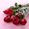 Here's how to keep your Roses Fresh