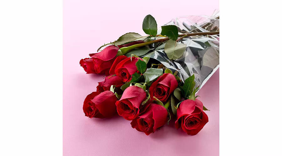 Here's how to keep your Roses Fresh