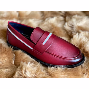 Goose shoes