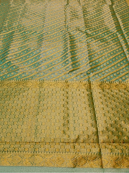 Exquisite Tissue Silk Saree in Enchanting Green-3