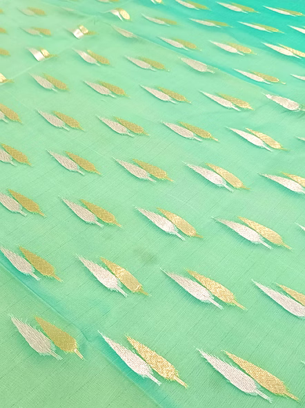 Exquisite Sea Green Kora Saree with Contrast Border and Silver Gold Buti-2