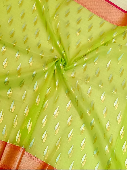 Green Kora Saree Silver Gold Buti Contras Border - Elegant Indian Ethnic Wear-4