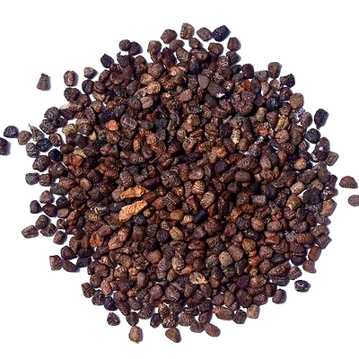 Spicyl Cardamom Seed, Indian Green Cardamom Seed, Green Elaichi Seed (Pack of 1)