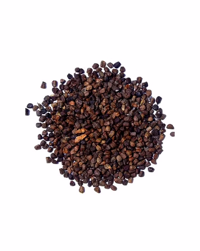 Spicyl Cardamom Seed, Indian Green Cardamom Seed, Green Elaichi Seed (Pack of 1)-SEED100