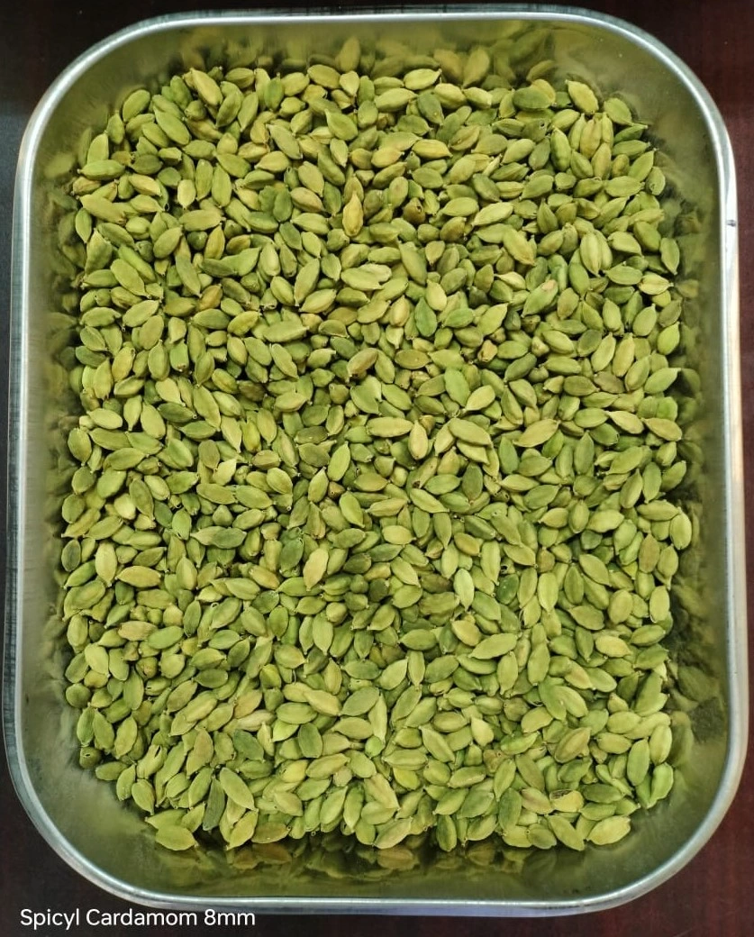 Green Cardamom 8.0 mm and Above-SPICYL81000