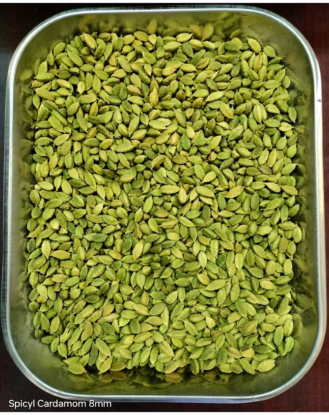 Spicyl Cardamom 8 mm and above Sizes, Premium Grade, 1st Quality, Indian Green Cardamom, Whole Cardamom, Green Elaichi (Pack of 1)-100 Gram-1