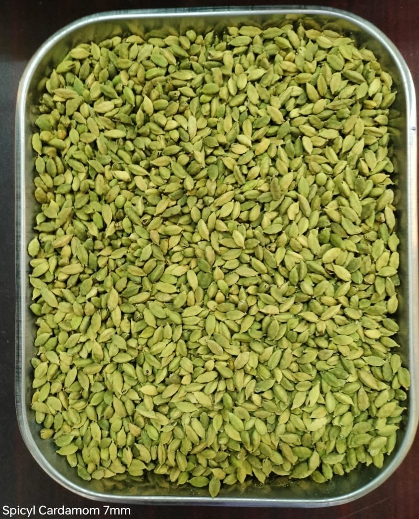 Green Cardamom 7.0 mm-SPICYL7500