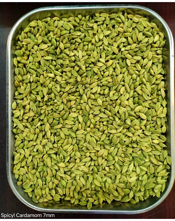 Spicyl Cardamom 7.0 mm to 7.5 mm Sizes, 3rd Quality Grade, Indian Green Cardamom, Whole Cardamom, Green Elaichi (Pack of 1) Spicyl Cardamom 7.0 mm to 7.5 mm Sizes, 3rd Quality Grade, Indian Green Cardamom, Whole Cardamom, Green Elaichi (Pack of 1)-100 Gram-1