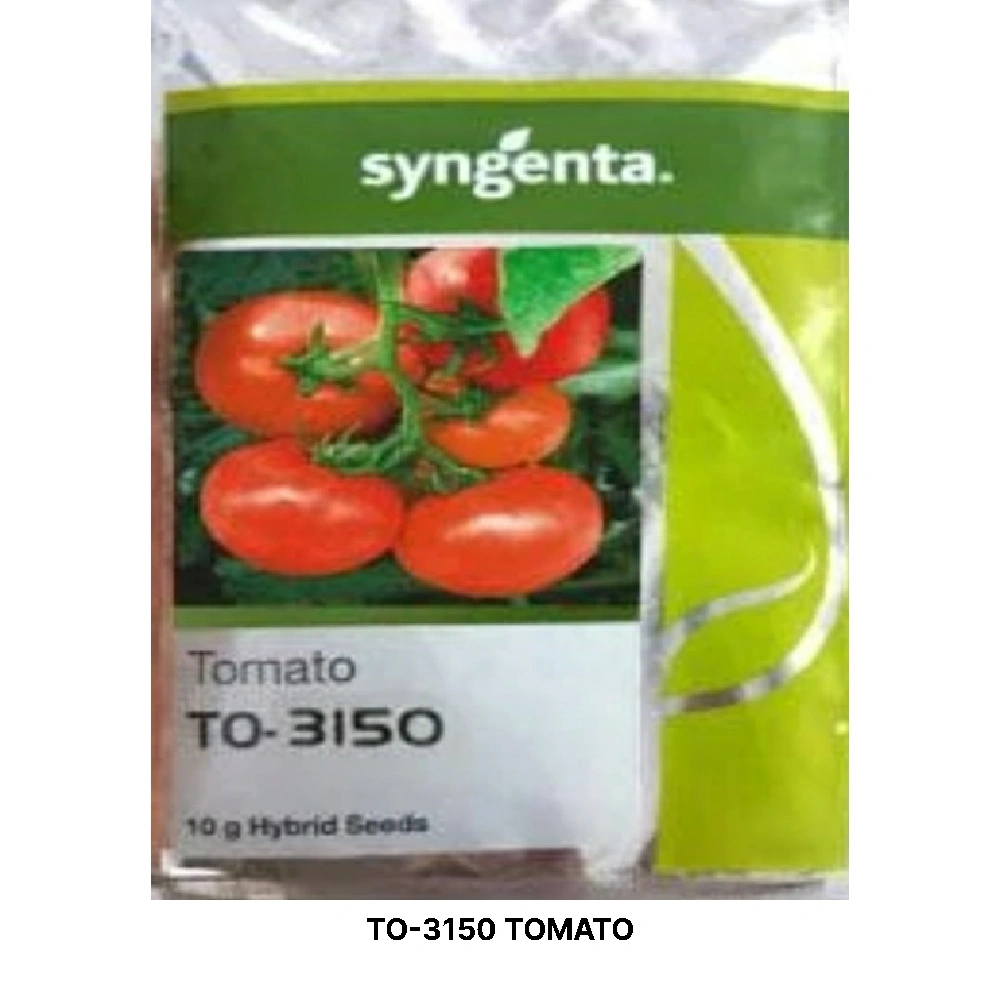 TO-3150 TOMATO  SEEDS-11328798