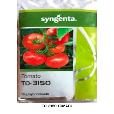 TO-3150 TOMATO SEEDS