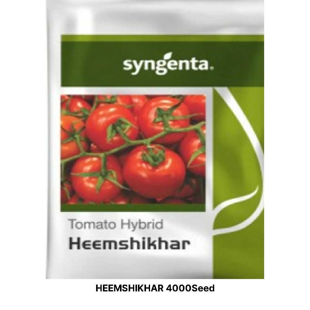 HEEMSHIKHAR TOMATO SEEDS-11328800