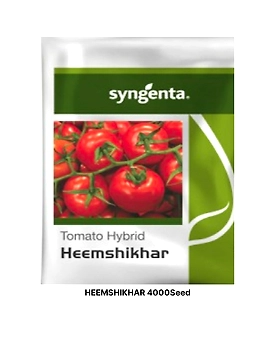 HEEMSHIKHAR TOMATO SEEDS