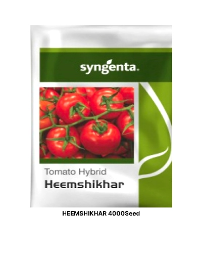 HEEMSHIKHAR TOMATO SEEDS-11328800