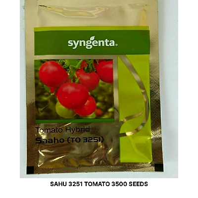 SAAHO TOMATO seeds