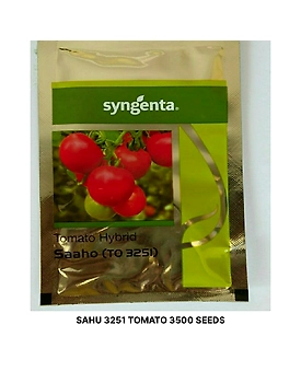 SAAHO TOMATO seeds