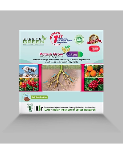 Potash Grow a potash mobilising bacteria-2-1