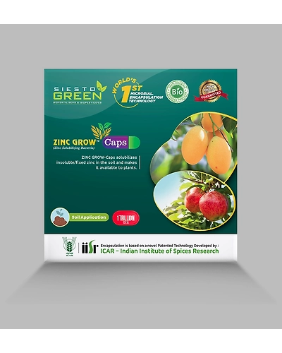 Zinc Grow a Zinc Solubilising Bacteria-2-1