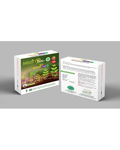 Azoto a  Azotobacter Bacteria-2-3
