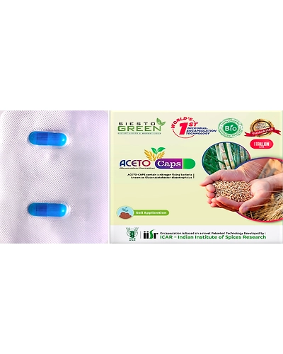 Aceto a Gluconacetobacter diazotrophicus-11336114