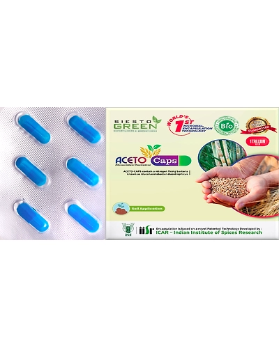 Aceto a Gluconacetobacter diazotrophicus-11336116
