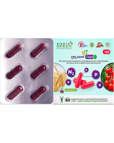 NPK Grow-11328858