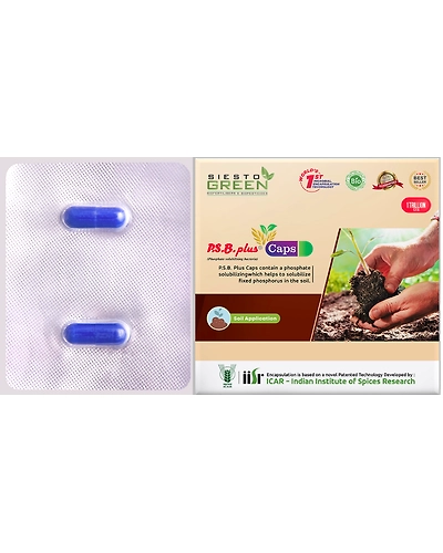 PSB Plus a phophate solubilising bacteria-11333906