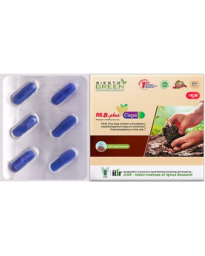 PSB Plus a phophate solubilising bacteria-11333908