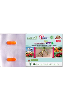 Potash Grow a potash mobilising bacteria