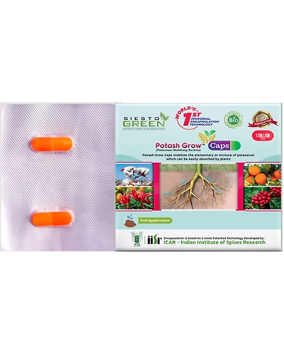 Potash Grow a potash mobilising bacteria-11336034