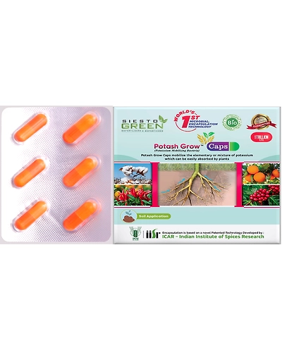 Potash Grow a potash mobilising bacteria-11336036
