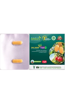 Zinc Grow a Zinc Solubilising Bacteria