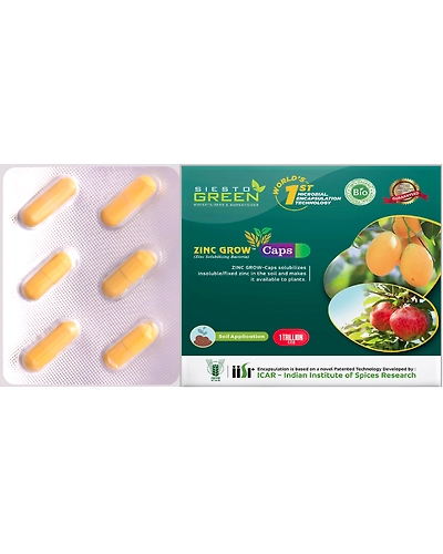 Zinc Grow a Zinc Solubilising Bacteria-11336042