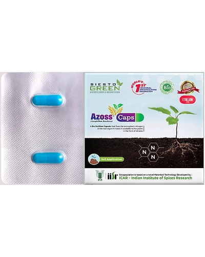 Azoss a Azospirillium Bacteria-11336278