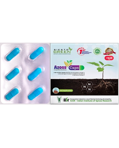 Azoss a Azospirillium Bacteria-11336280