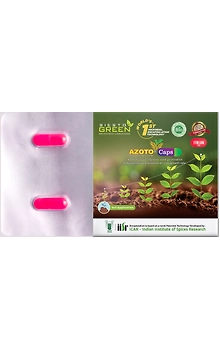 Azoto a  Azotobacter Bacteria