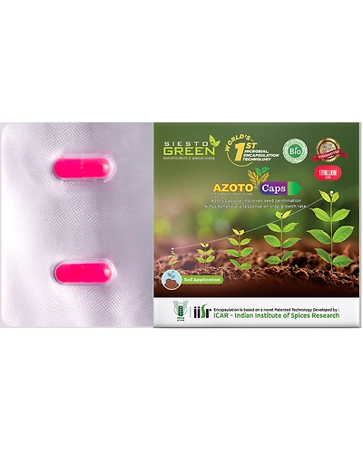 Azoto a  Azotobacter Bacteria-11336286