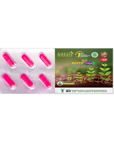 Azoto a  Azotobacter Bacteria-11336288