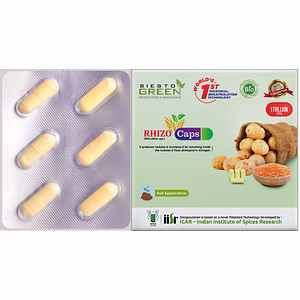 Rhizo a Rhizobium Bacteria