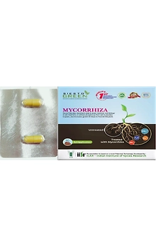 Mycorrahiza