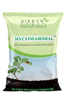 Mycorrahiza (Granule)