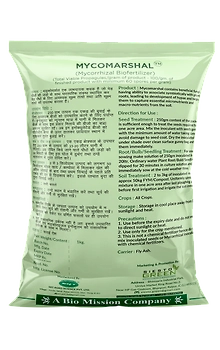 Mycorrahiza (Powder)