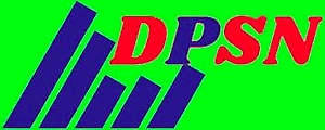 Digital Power Store Network-logo
