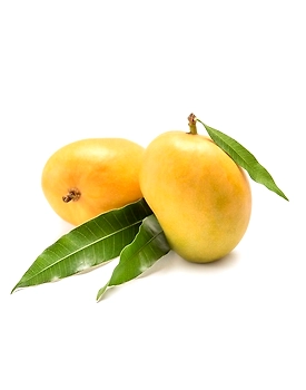 Alphonso Mango