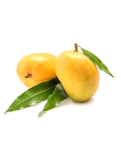 Alphonso Mango-11346154