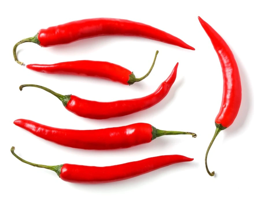 Chilli-Vic1102