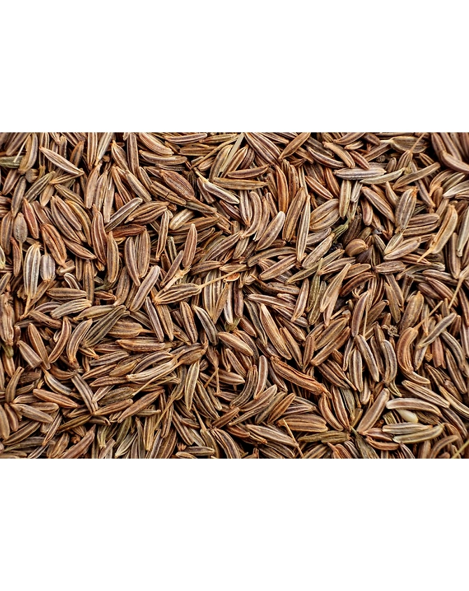 Cumin Seeds-VICTSP001