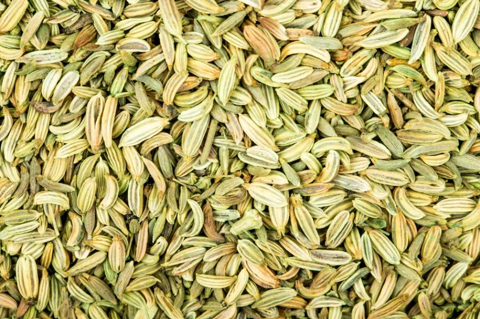 Fennel Seeds-VICTSP002