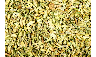 Fennel Seeds