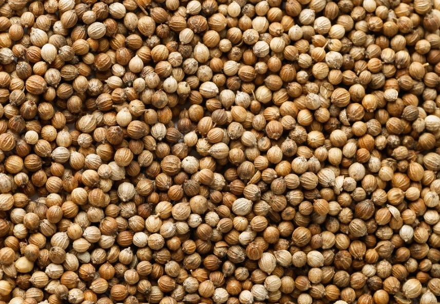 Coriander Seeds-VICTSP005